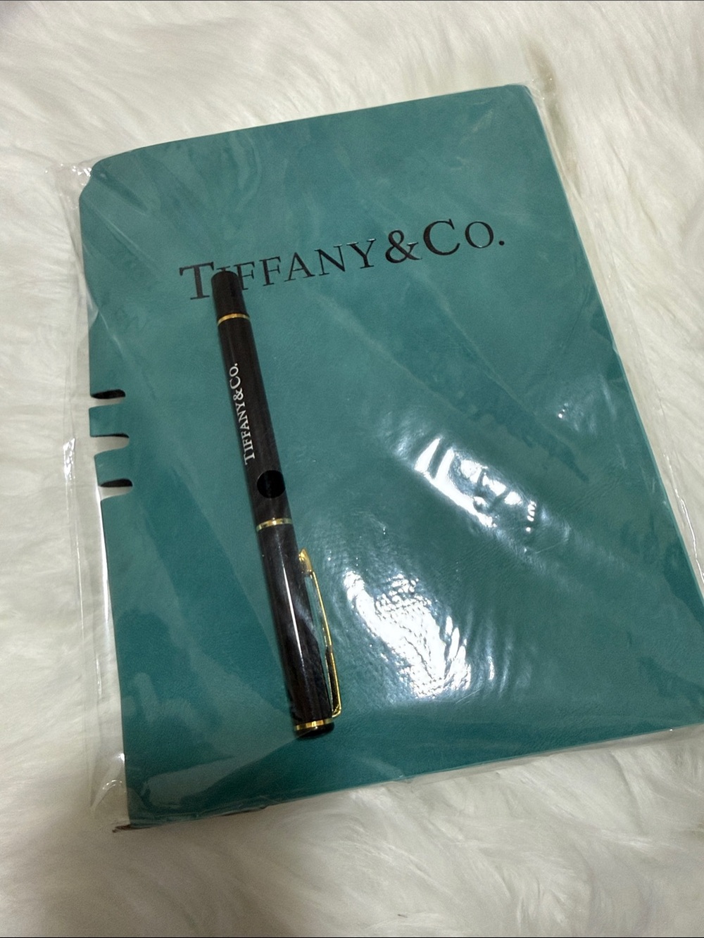 Tiffany & Co. Blue Tablet Sleeve with Pen